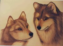 Wolf